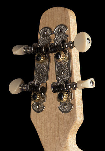 Seagull Merlin Dulcimer Guitar