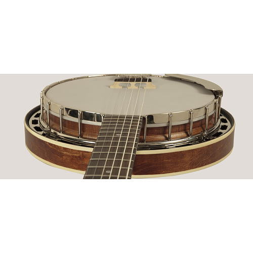 Recording King 6 String Banjo Guitar RM-G25