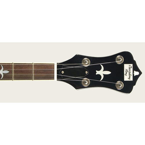 The Madison RK-R35 Resonator Banjo