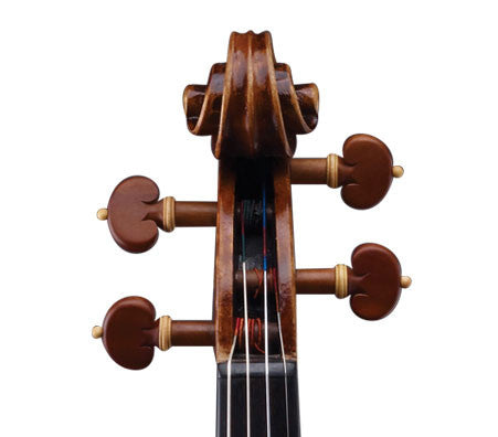 Raul Emiliani Violin Stradivarius