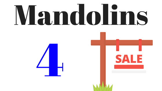 Mandolins for sale