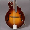 F-style mandolins
