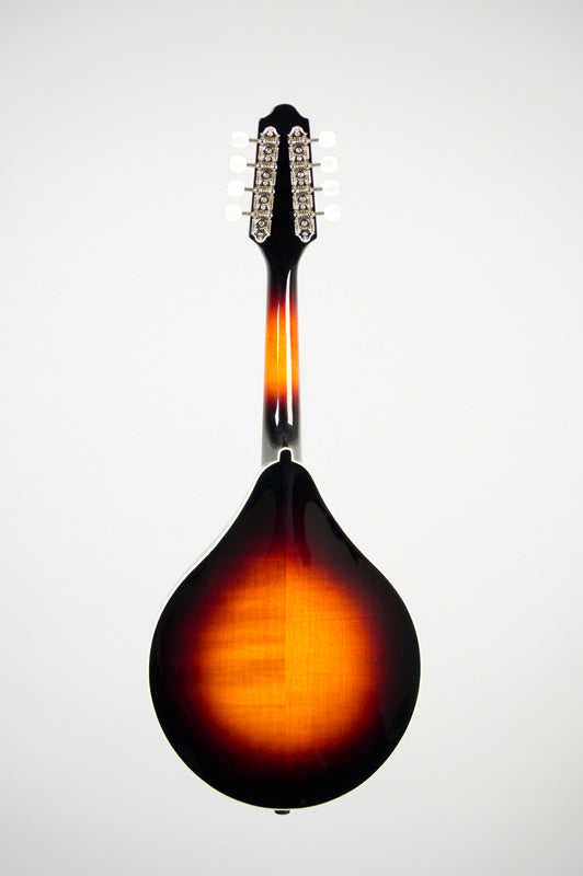 The Loar LM-220 Mandolin - Blem