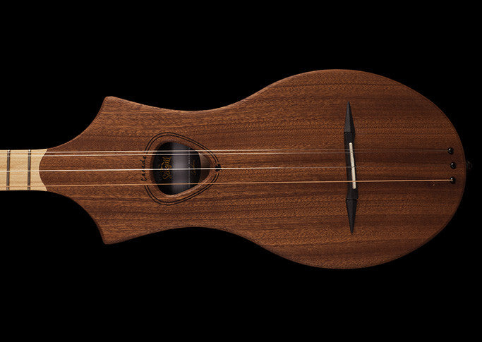 Seagull Merlin Dulcimer Guitar