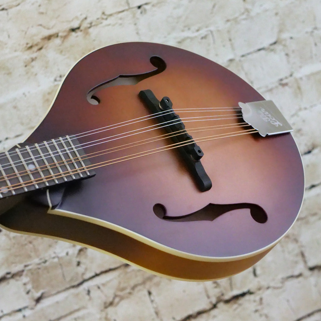 The Loar LM-110 Honey Creek Mandolin