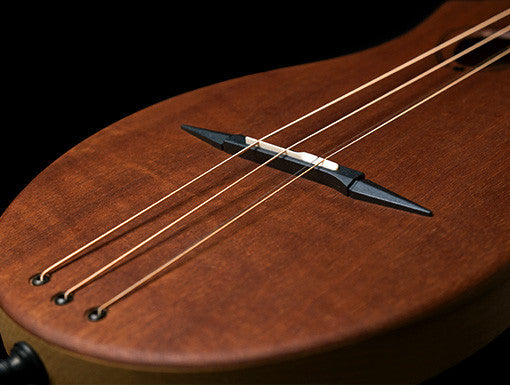 Seagull Merlin Dulcimer Guitar