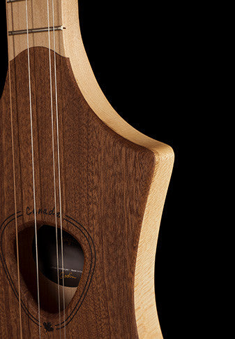 Seagull Merlin Dulcimer Guitar