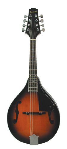 Savannah SA-100 A-Model Mandolin, Sunburst