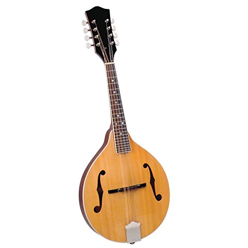 Saga AM-10 A-Model Mandolin Kit