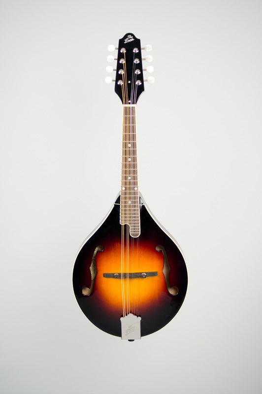 The Loar LM-220 Mandolin - Blem