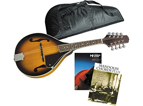 Rogue Mandolin Package