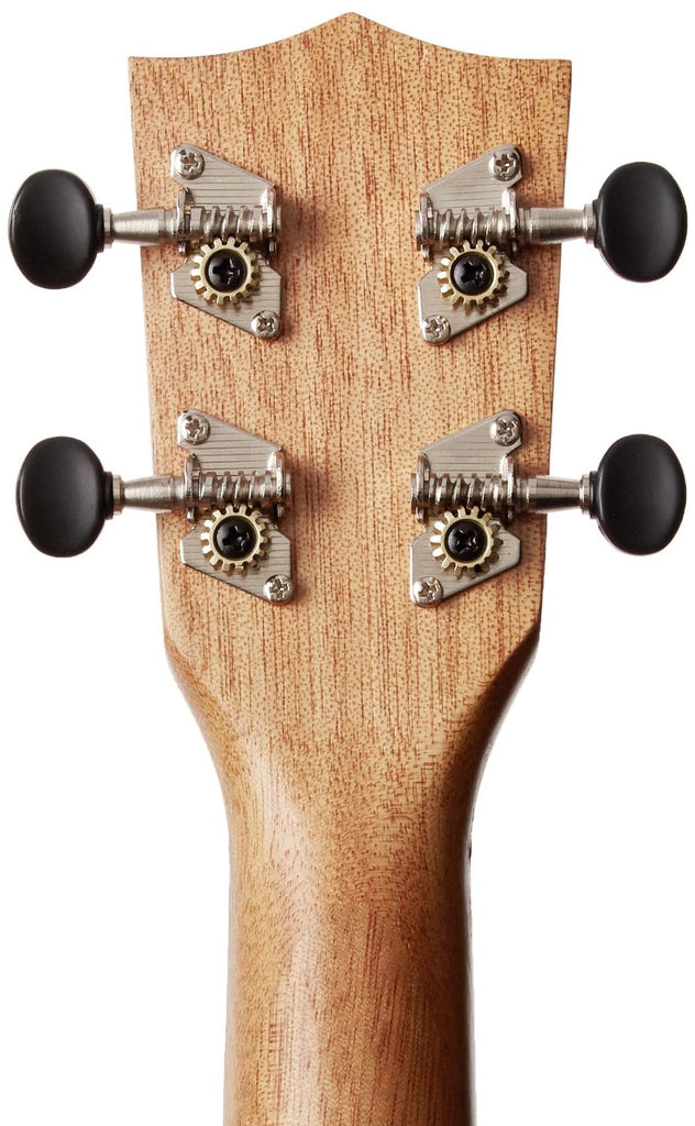 Kala Learn To Play Ukulele Starter Kit