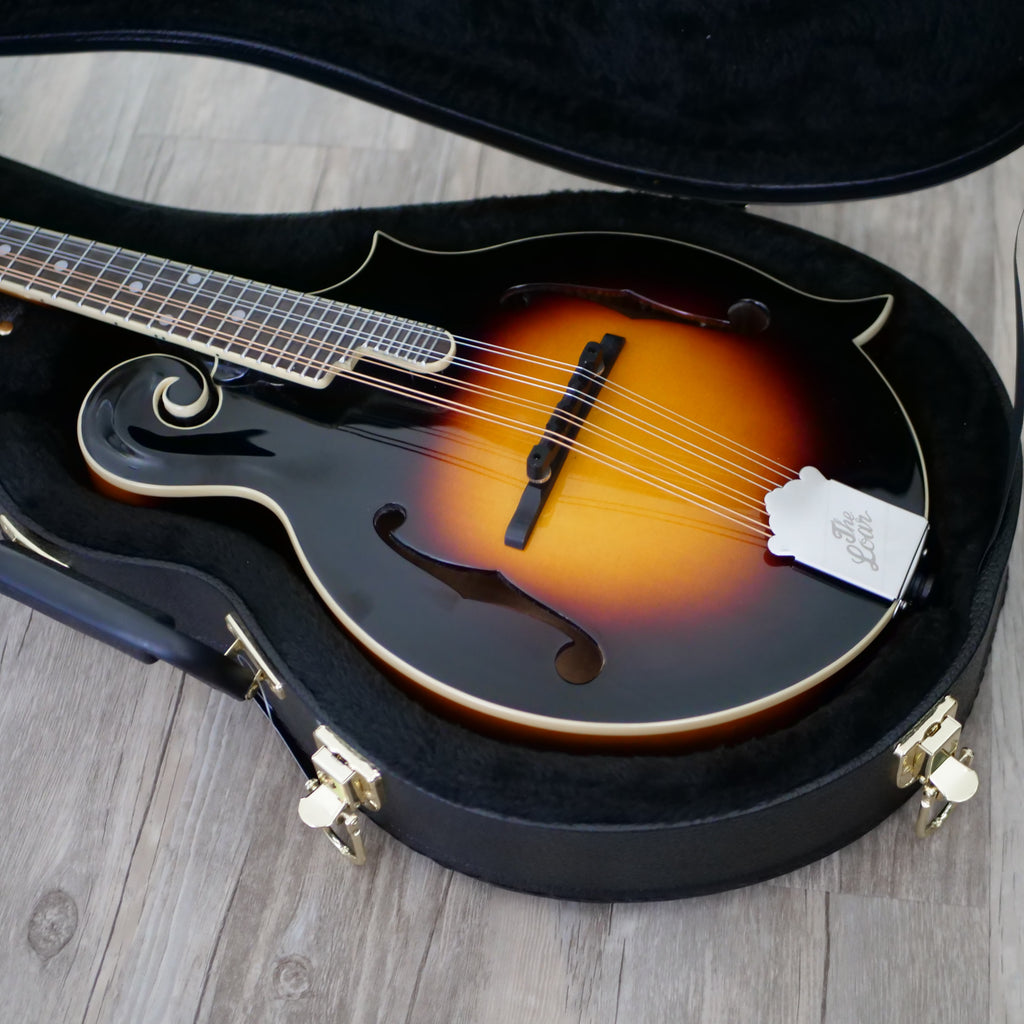 The Loar LM-520 Mandolin