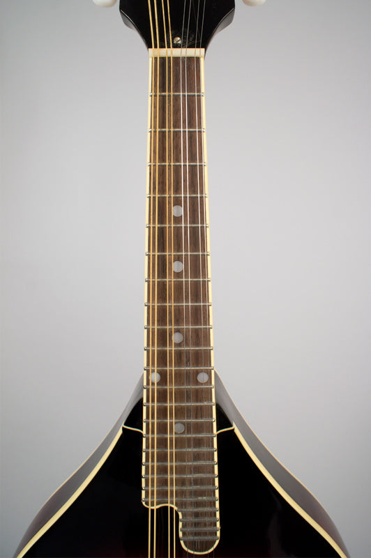 The Loar LM-220 Mandolin - Blem