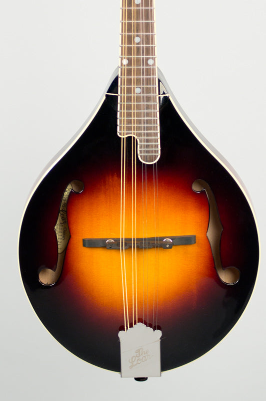 The Loar LM-220 Mandolin - Blem