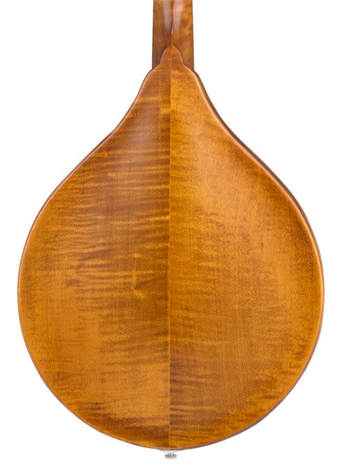 Weber Bitterroot A14-F Mandolin