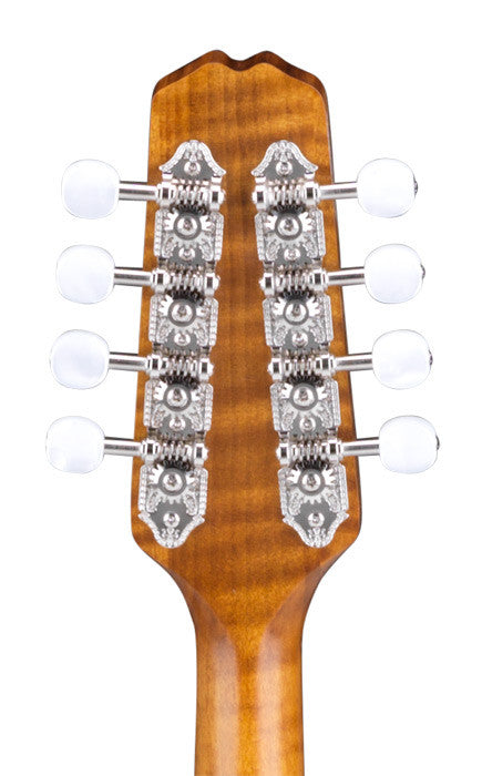 Weber Bitterroot A14-F Mandolin