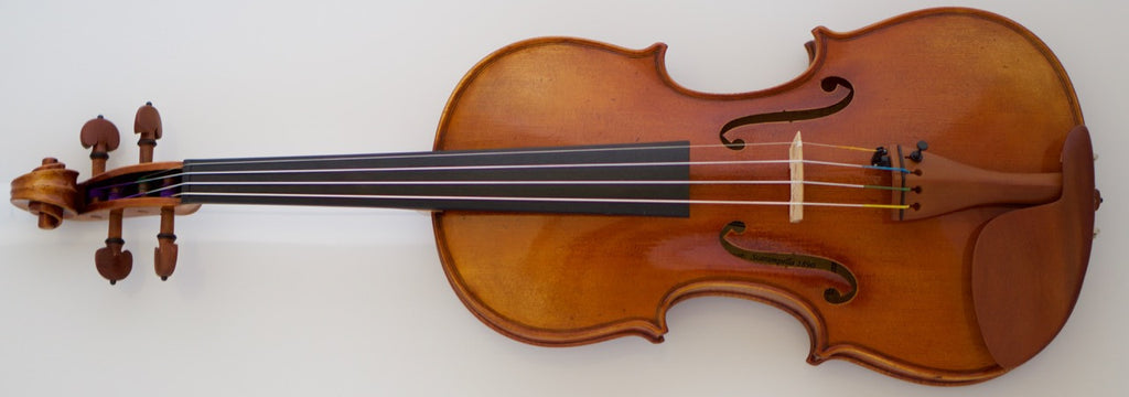 Scott Cao STV-950 Fiddle