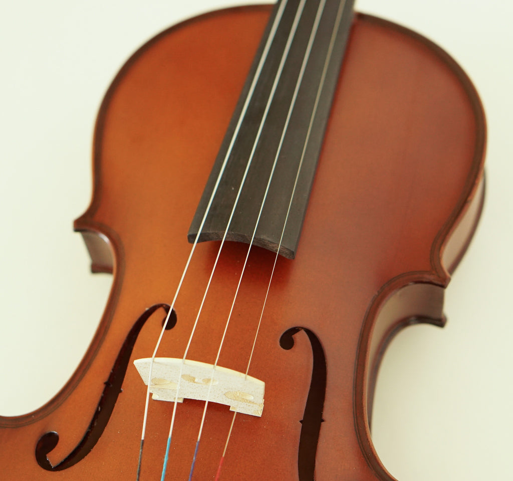 Fiddle Factory 520 Outfit