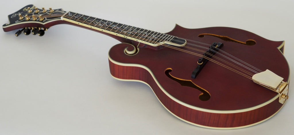 Michael Kelly Legacy Dragonfly Flame Mandolin