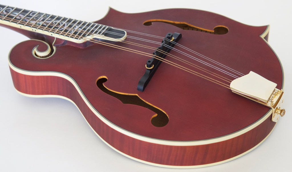 Michael Kelly Legacy Dragonfly Flame Mandolin