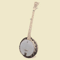 The Goodtime Special Resonator Banjo by Deering