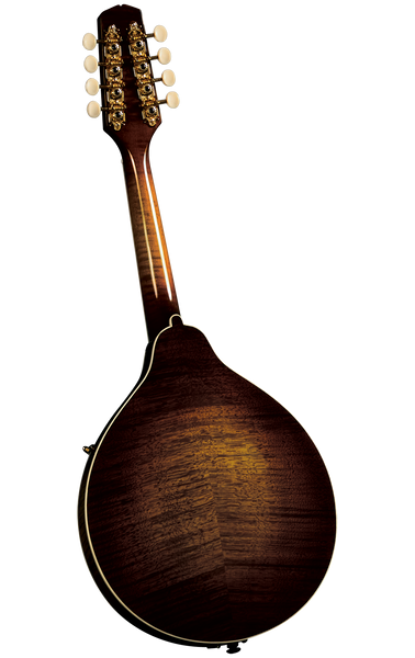 Kentucky KM-500 Mandolin