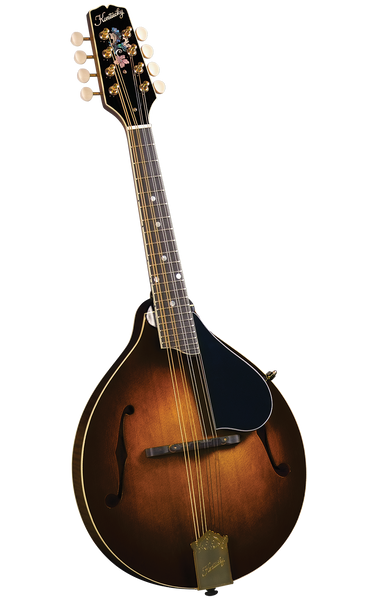 Kentucky KM-500 Mandolin