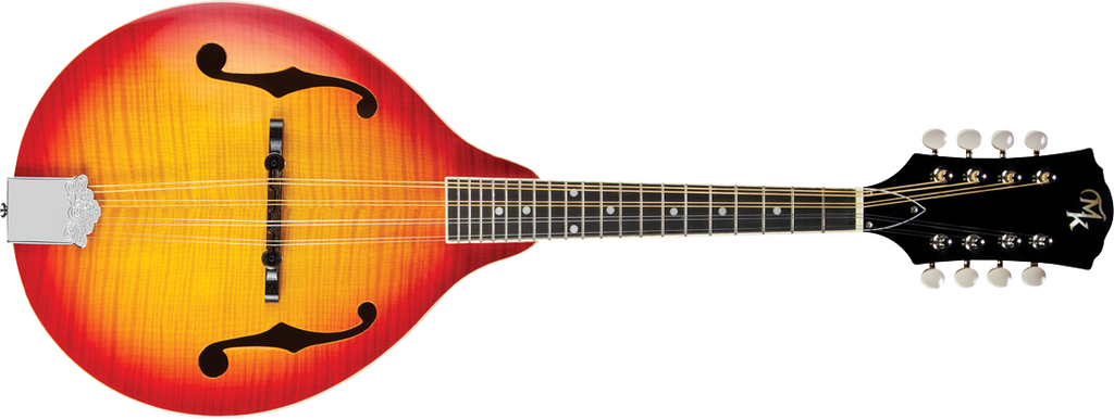 Michael Kelly A Plus Mandolin