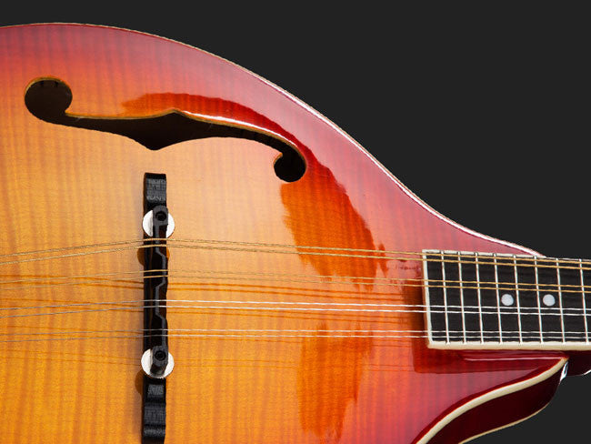 Michael Kelly A Plus Mandolin