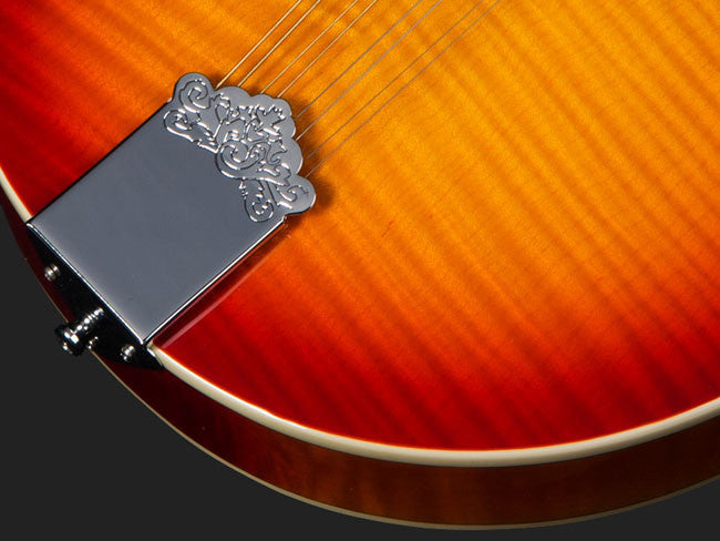 Michael Kelly A Plus Mandolin