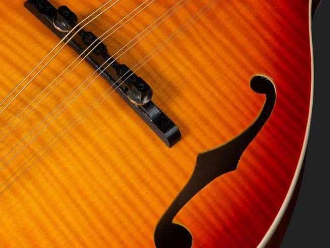 Michael Kelly A Plus Mandolin
