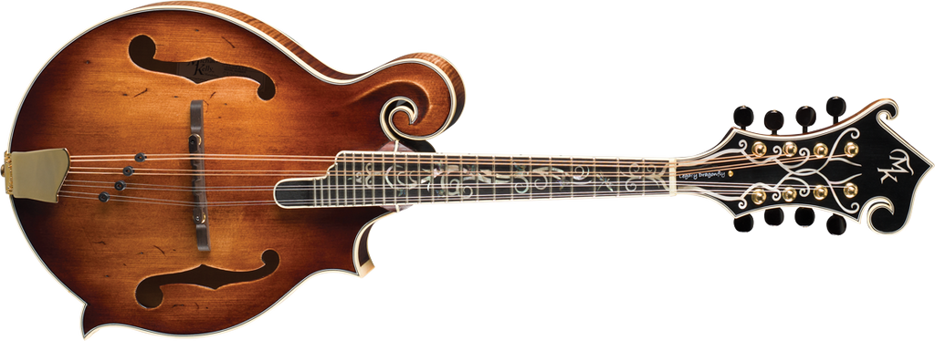 Michael Kelly Dragonfly Mandolin AVS