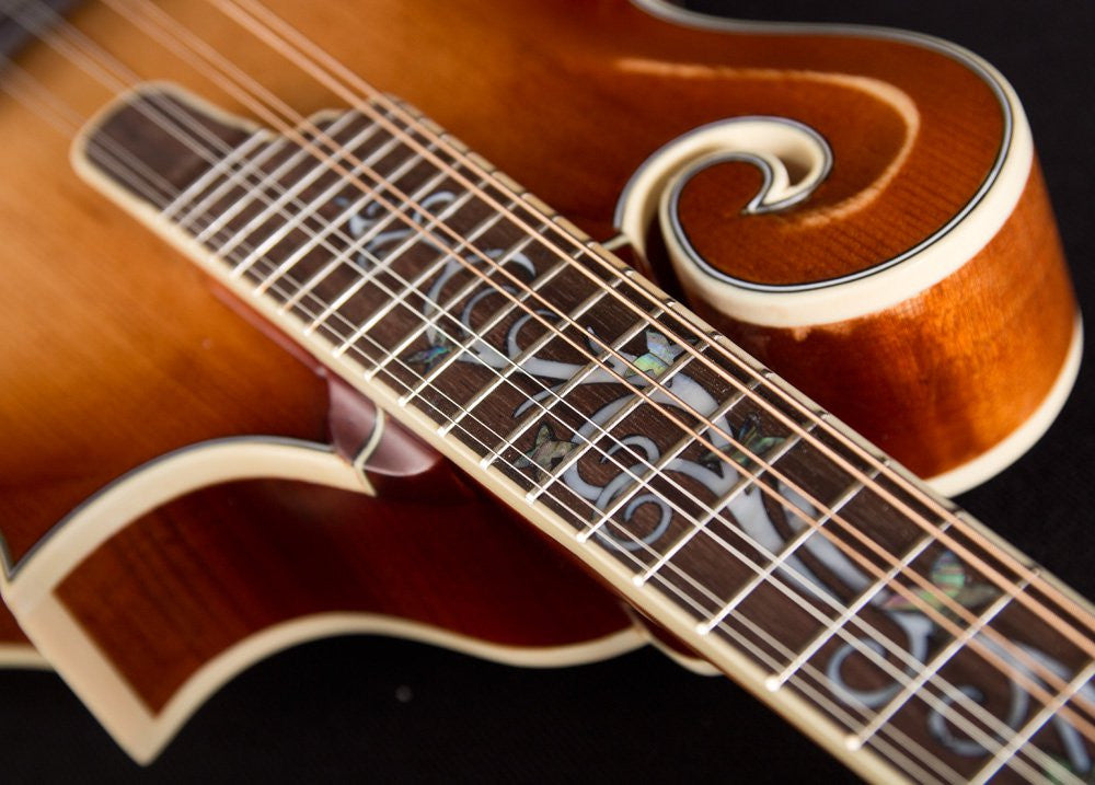 Michael Kelly Dragonfly Mandolin AVS