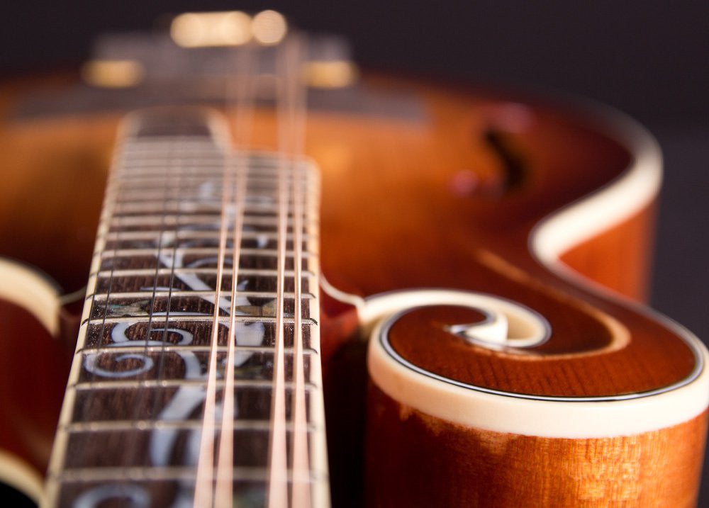 Michael Kelly Dragonfly Mandolin AVS