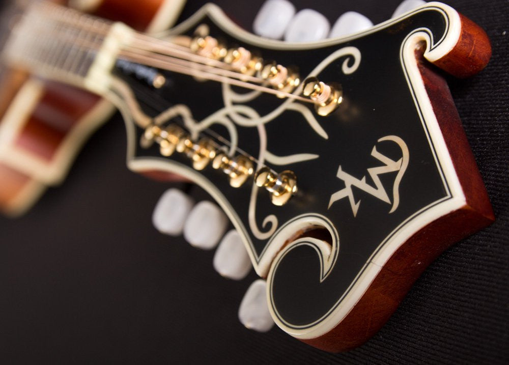 Michael Kelly Dragonfly Mandolin AVS