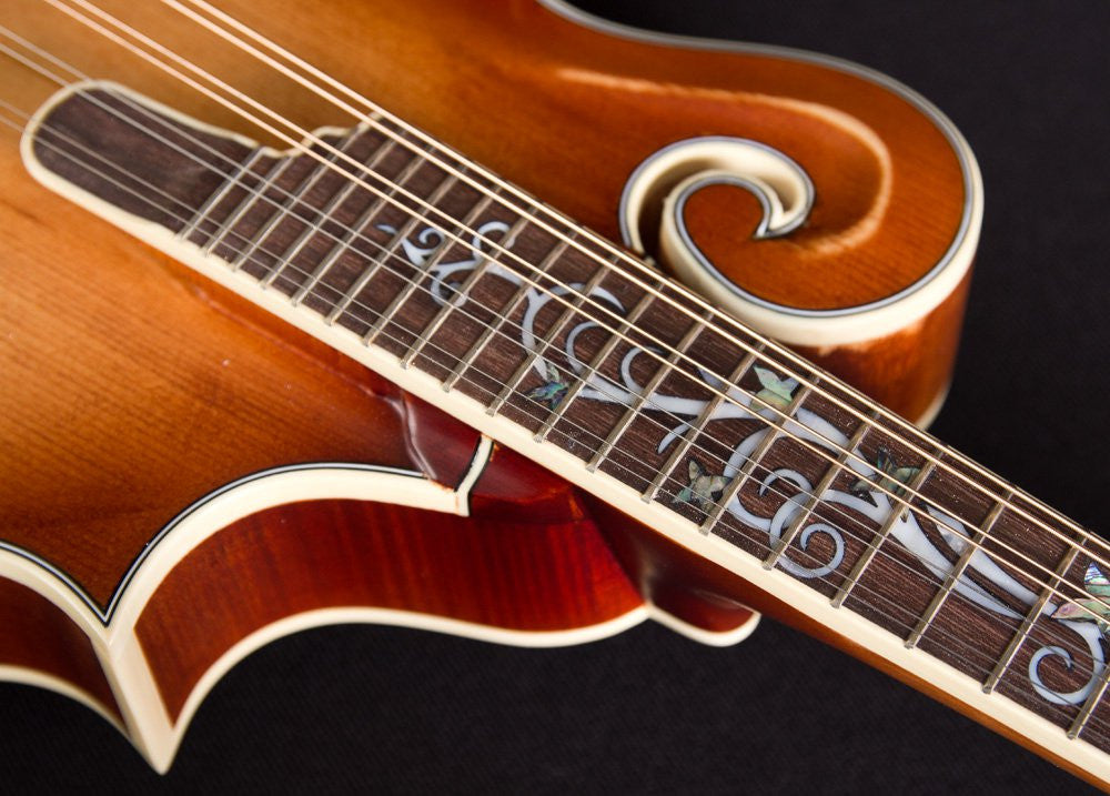 Michael Kelly Dragonfly Mandolin AVS
