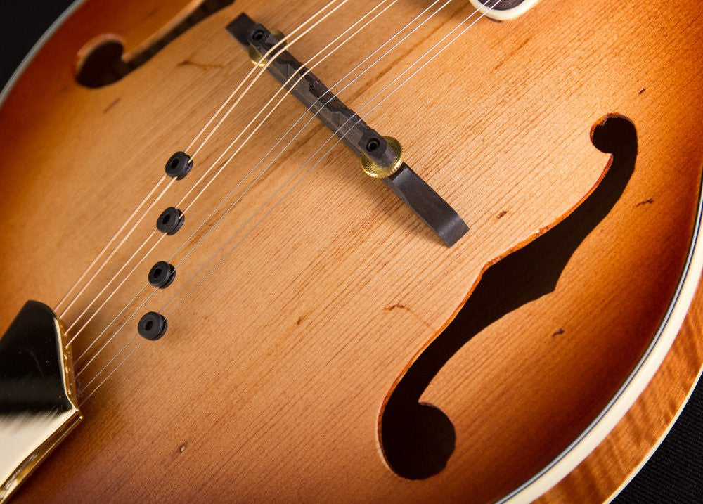 Michael Kelly Dragonfly Mandolin AVS