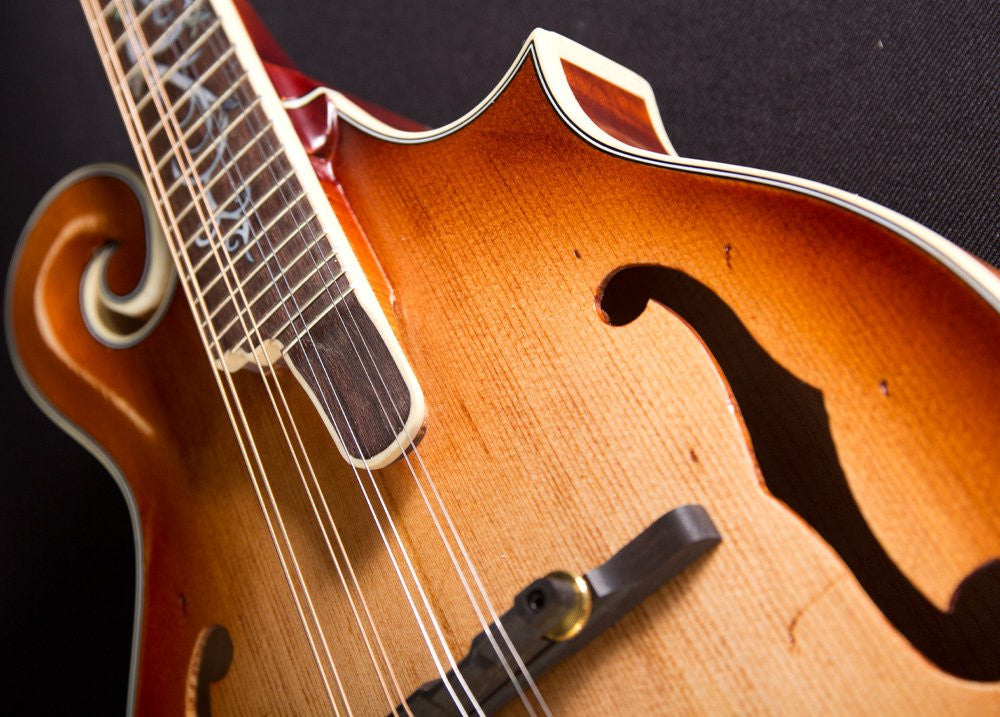 Michael Kelly Dragonfly Mandolin AVS