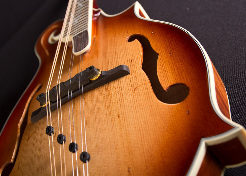 Michael Kelly Dragonfly Mandolin AVS