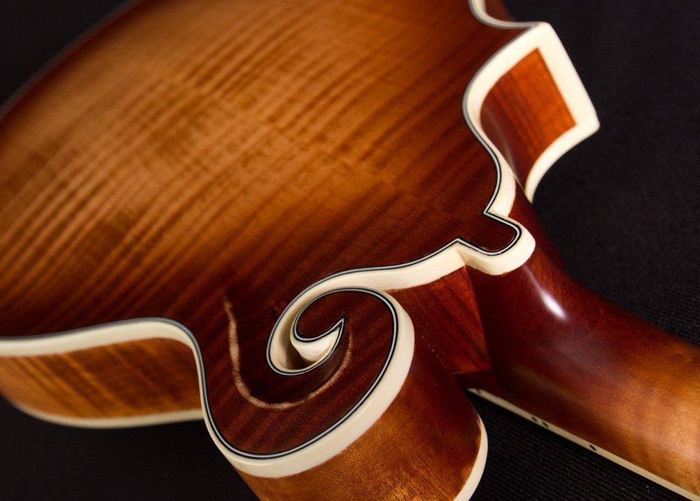 Michael Kelly Dragonfly Mandolin AVS
