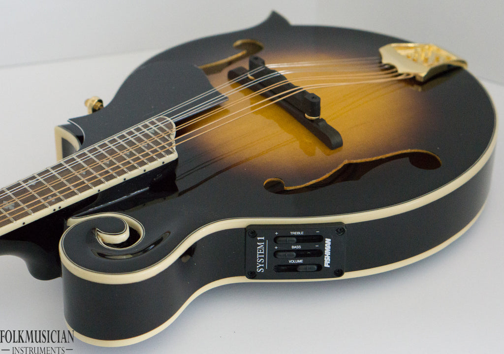 Morgan Monroe MMS-9FE Electric Mandolin for repair