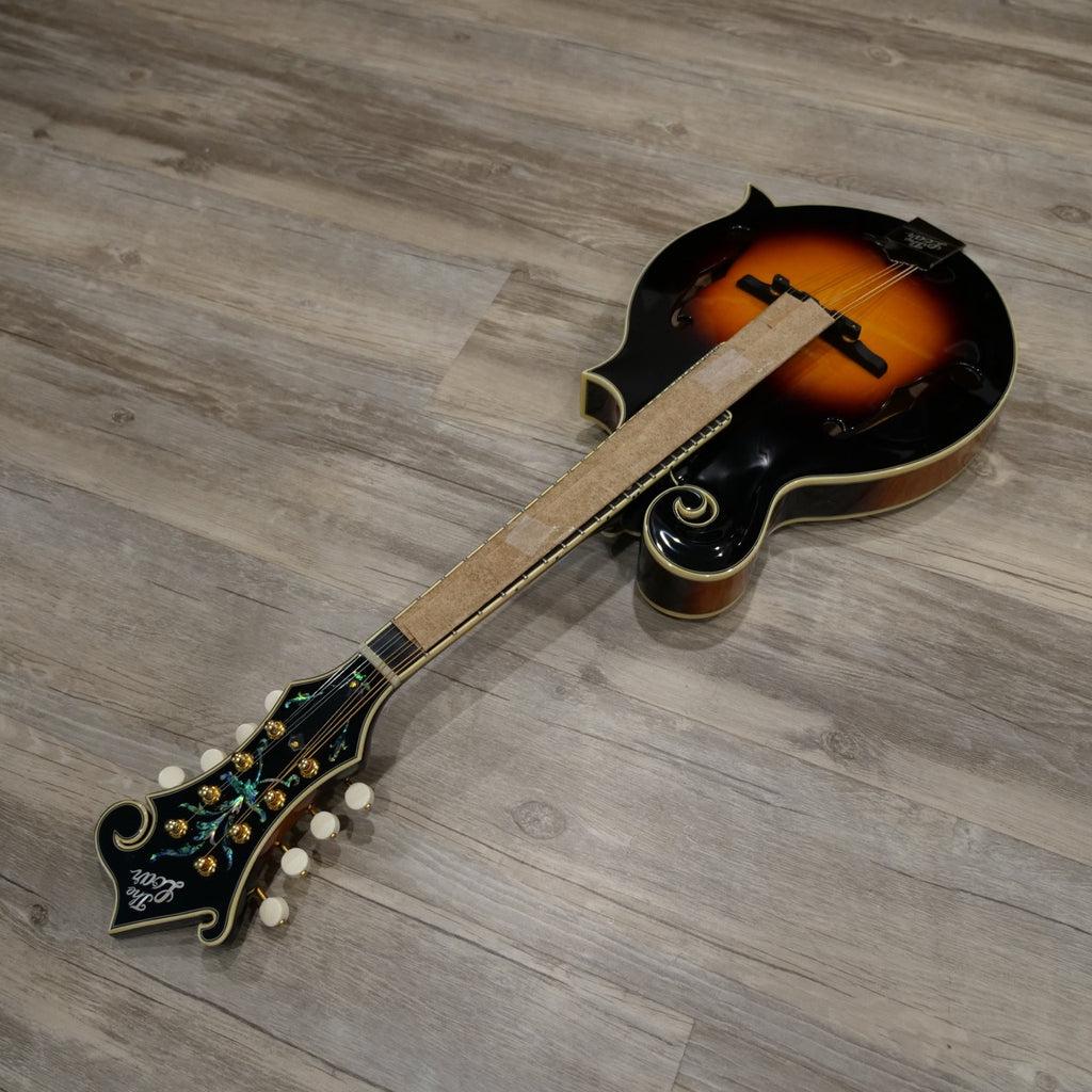 The Loar Mandolin LM-700 - BLEM