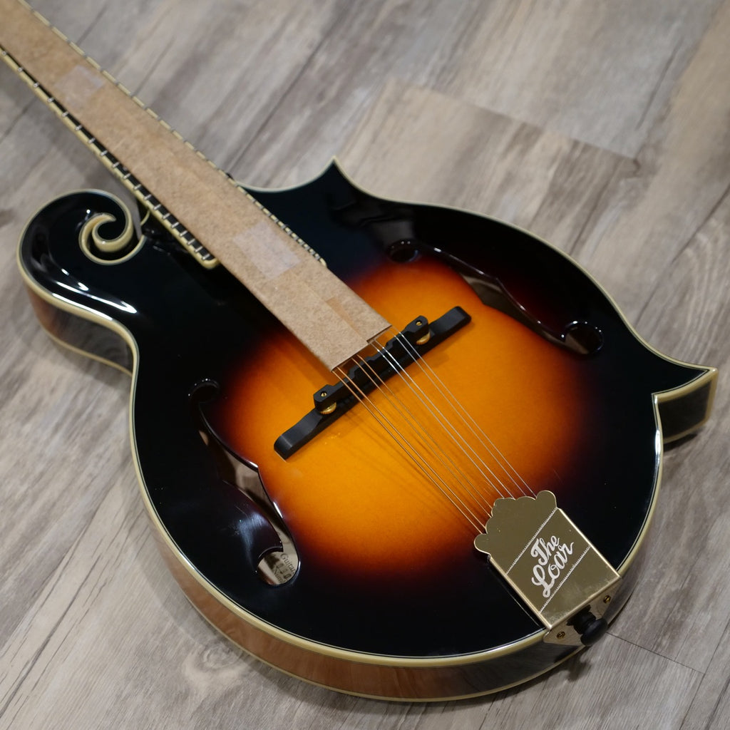 The Loar Mandolin LM-700 - BLEM