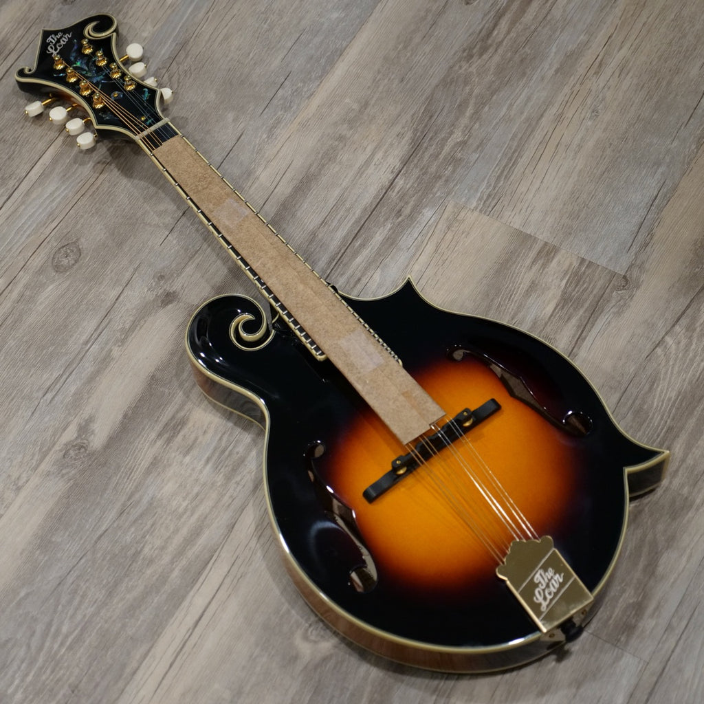 The Loar Mandolin LM-700 - BLEM