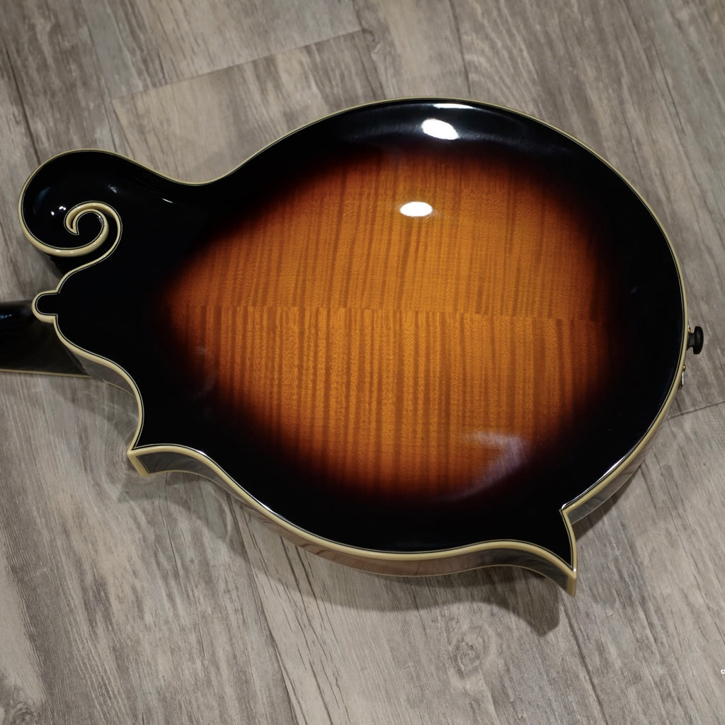 The Loar Mandolin LM-700 - BLEM