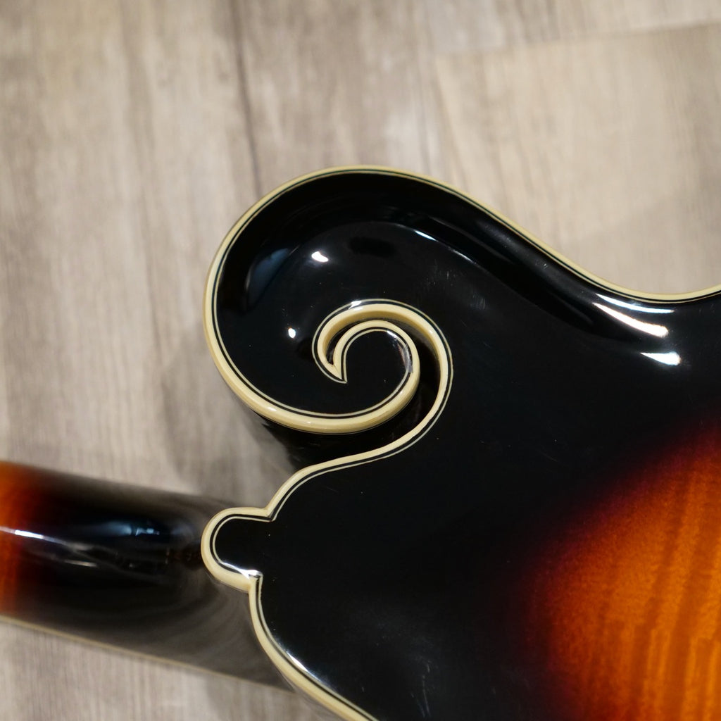The Loar Mandolin LM-700 - BLEM