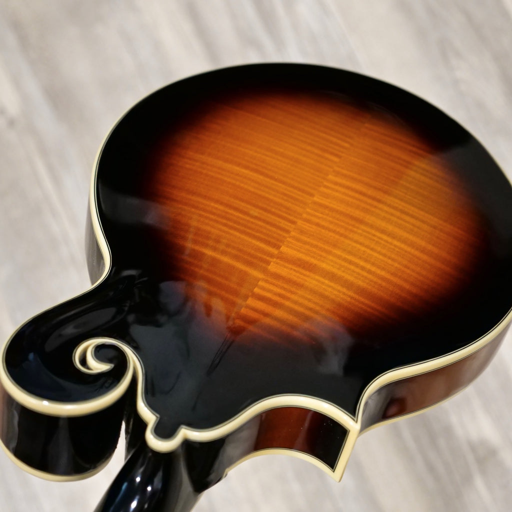 The Loar Mandolin LM-700 - BLEM
