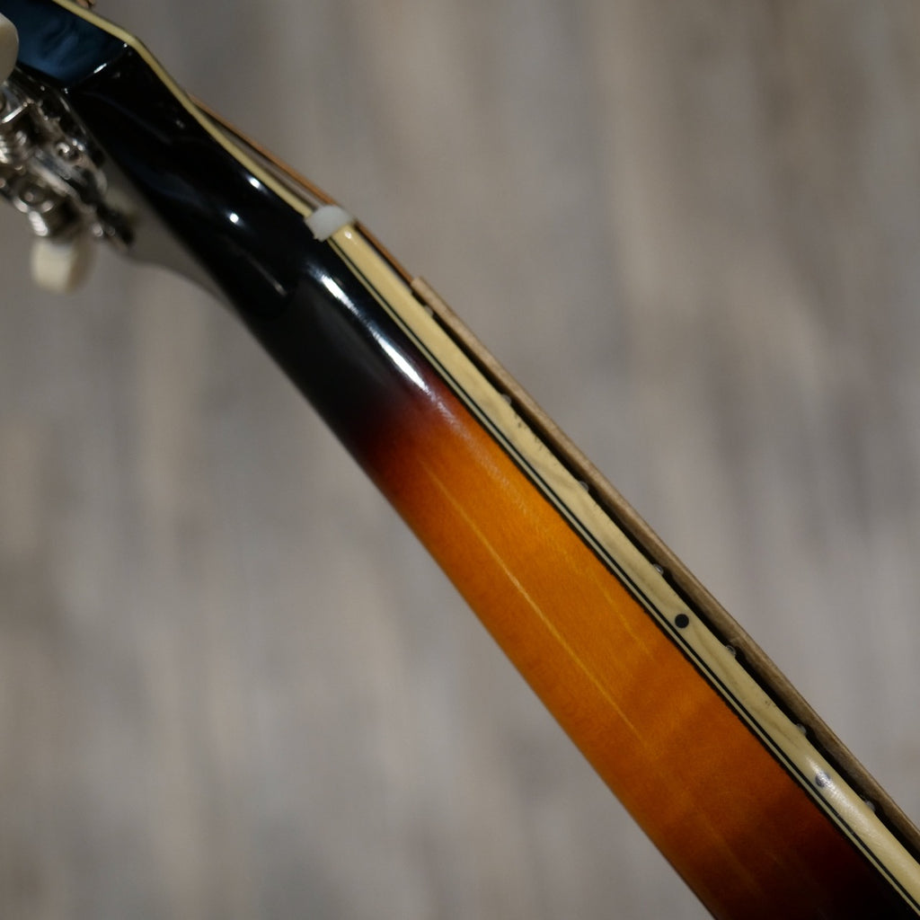 The Loar LM-600-VS Mandolin - BLEM