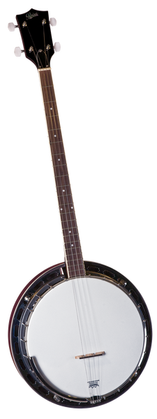 Rover Banjos Folkmusician